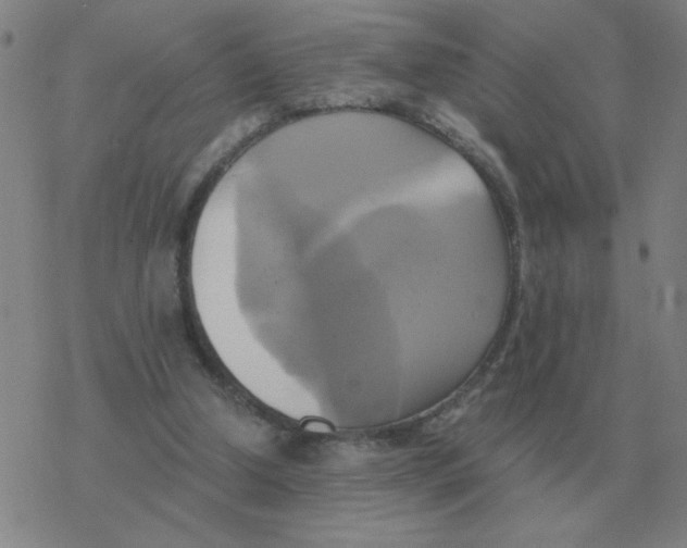 X0000076330250200610272036