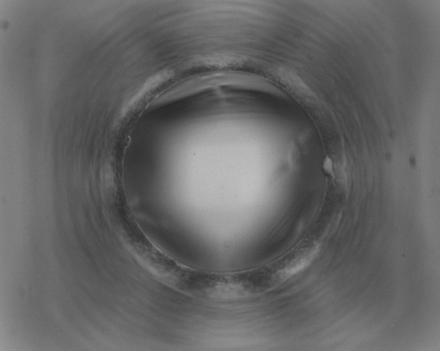 X0000076330256200610272037