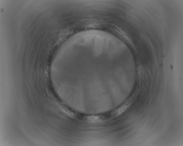 X0000076330265200610272037
