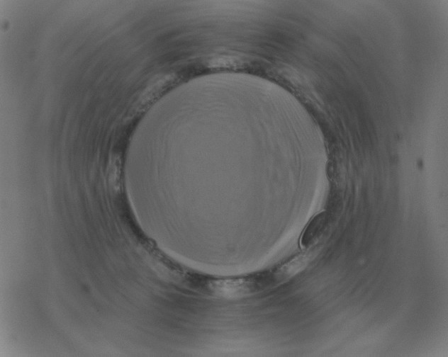 X0000076330273200610272037