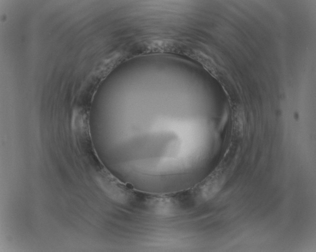 X0000076330276200610272037