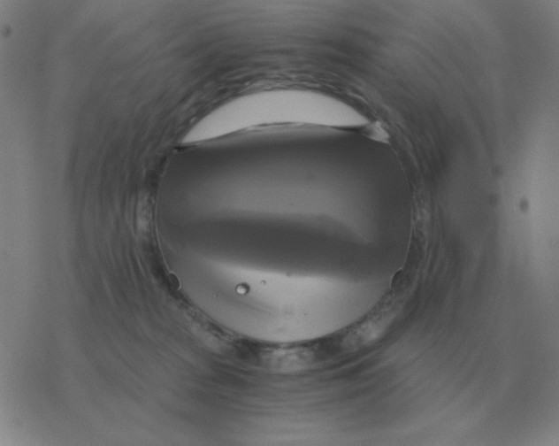 X0000076330277200610272037