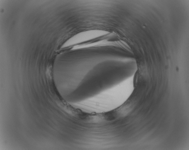 X0000076330286200610272037