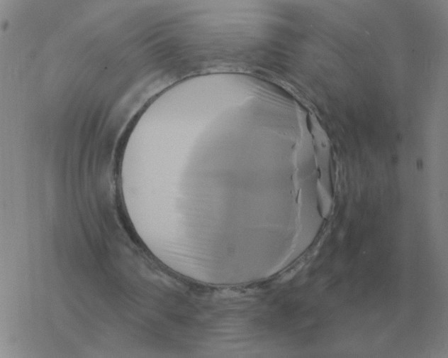 X0000076330290200610272036