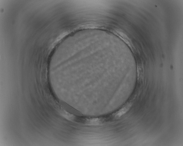 X0000076330301200610272036
