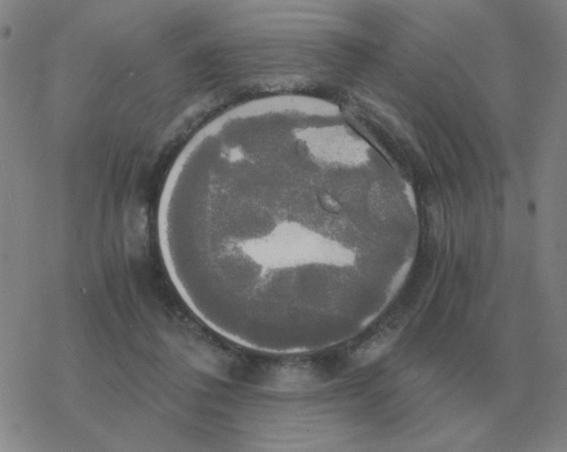 X0000076330308200610272036