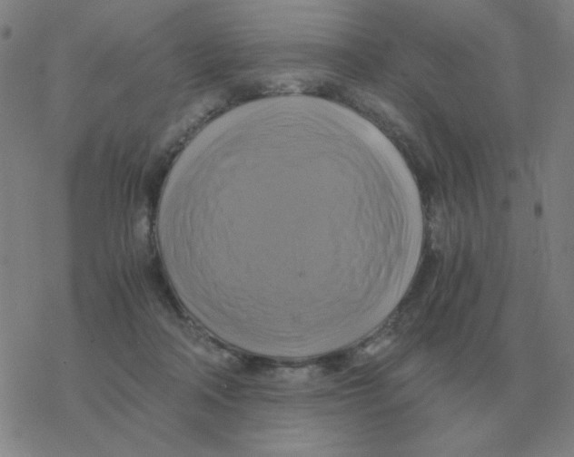 X0000076330314200610272036