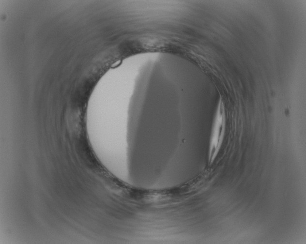X0000076330319200610272036