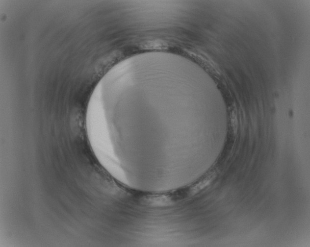 X0000076330322200610272036