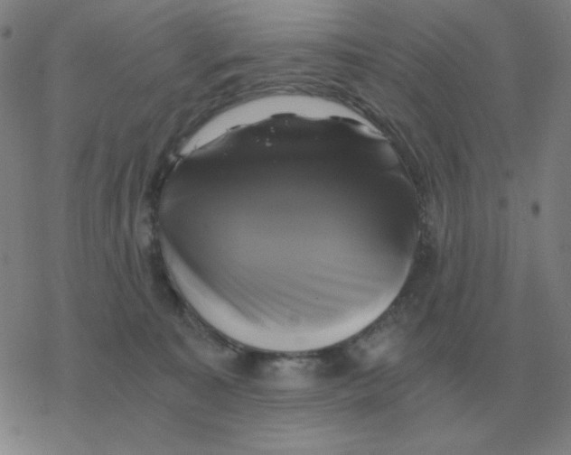 X0000076330323200610272036