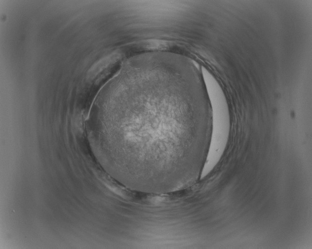 X0000076330325200610272036