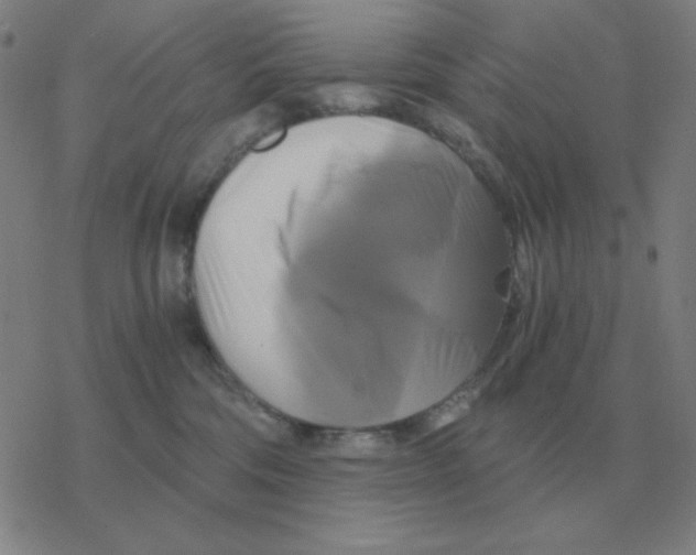 X0000076330330200610272036