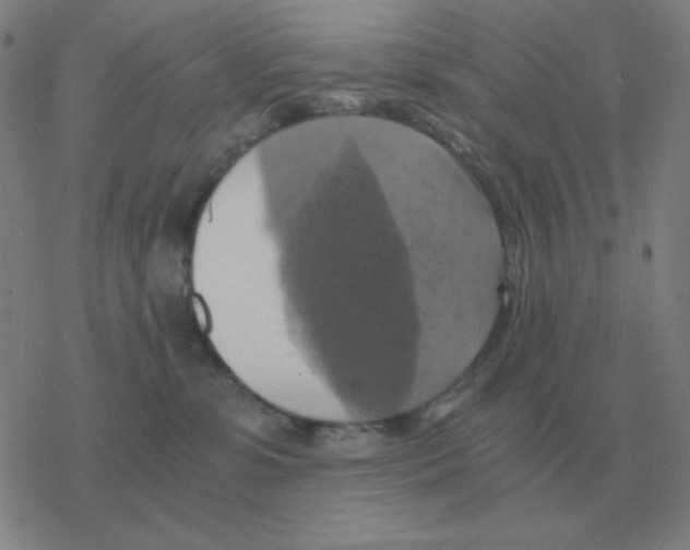 X0000076330331200610272036
