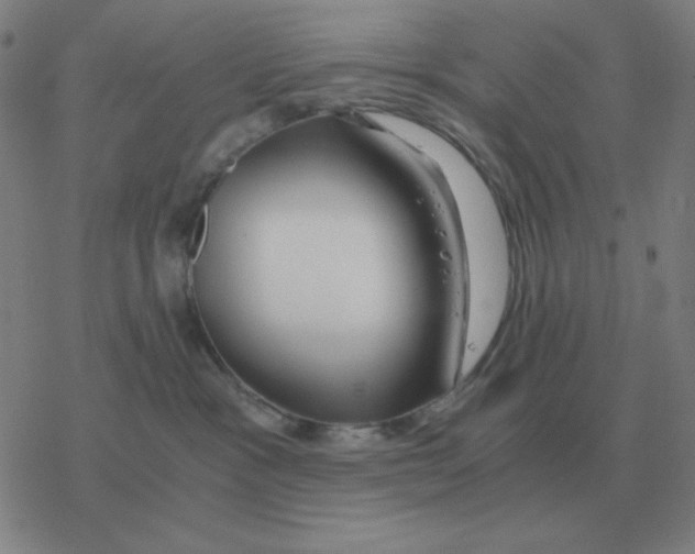 X0000076330333200610272036