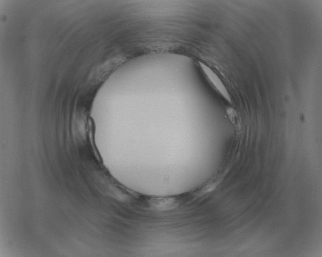 X0000076330334200610272036