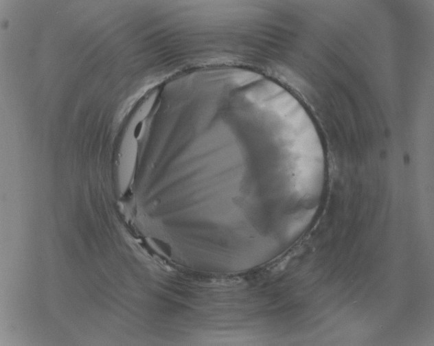 X0000076330345200610272035