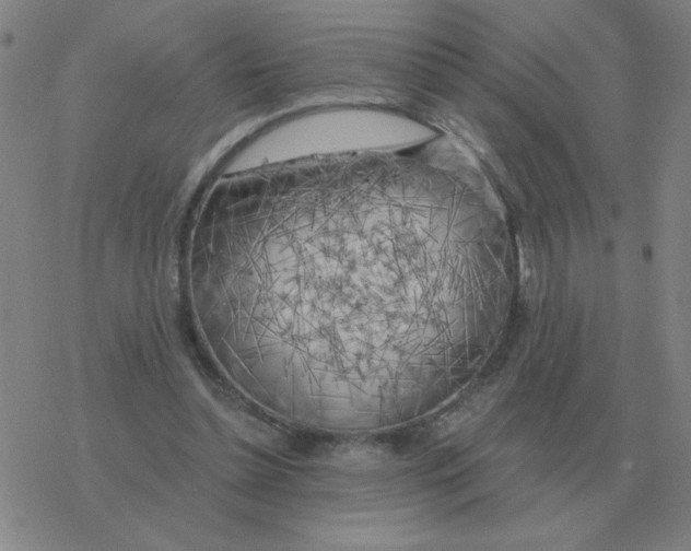 X0000076330348200610272035