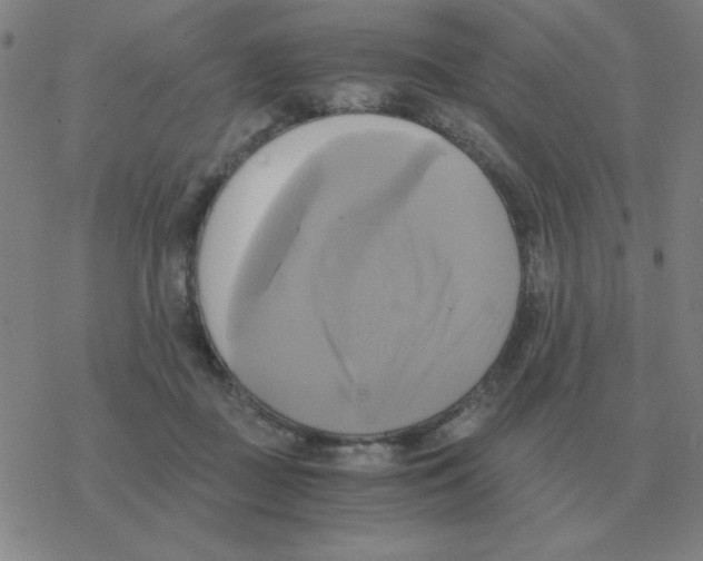 X0000076330363200610272035
