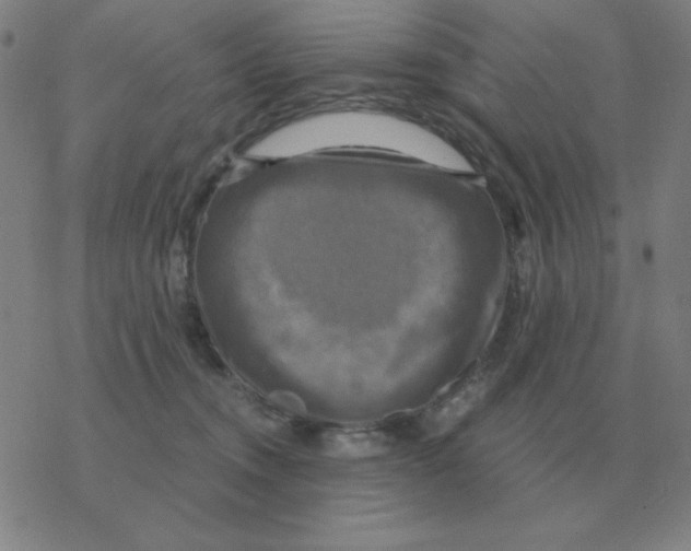 X0000076330372200610272035