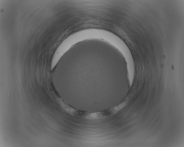 X0000076330382200610272035
