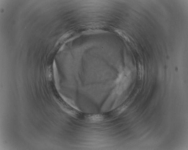 X0000076330383200610272035