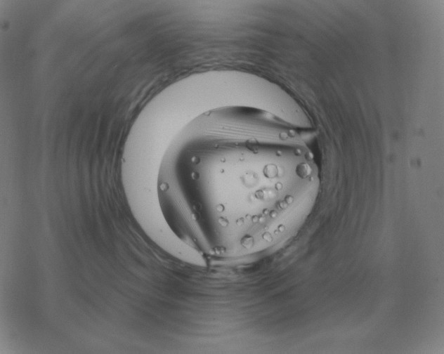 X0000076330384200610272035