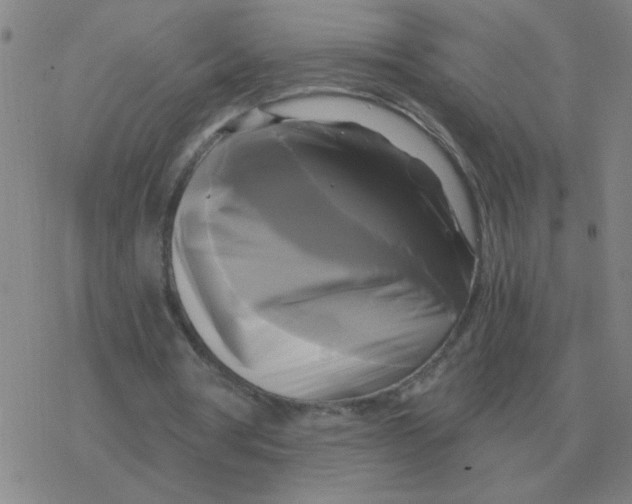 X0000076330386200610272035