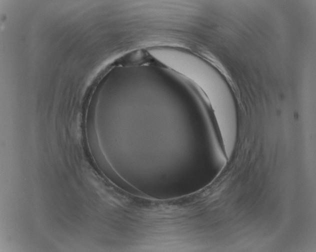 X0000076330387200610272035
