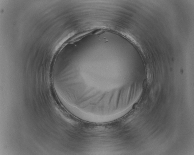 X0000076330390200610272035