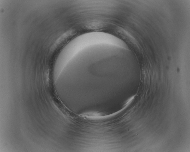 X0000076330404200610272034