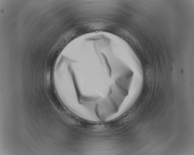 X0000076330406200610272034