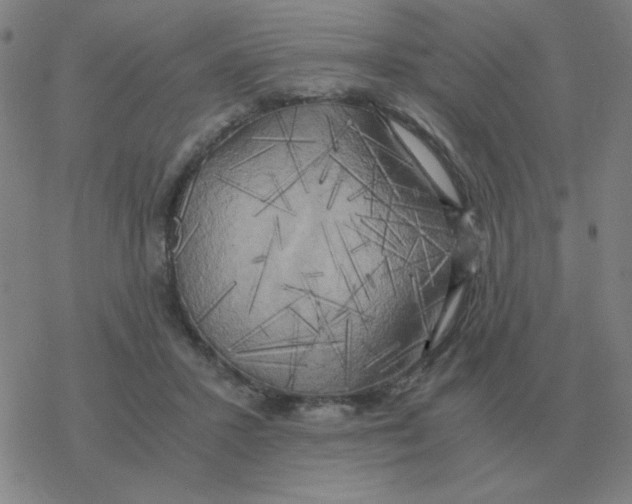 X0000076330407200610272034
