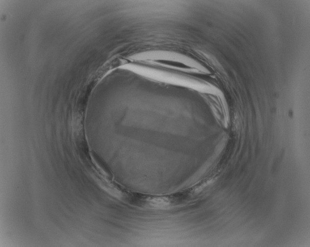 X0000076330409200610272034