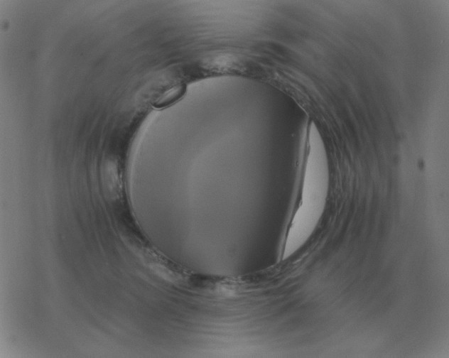 X0000076330420200610272034