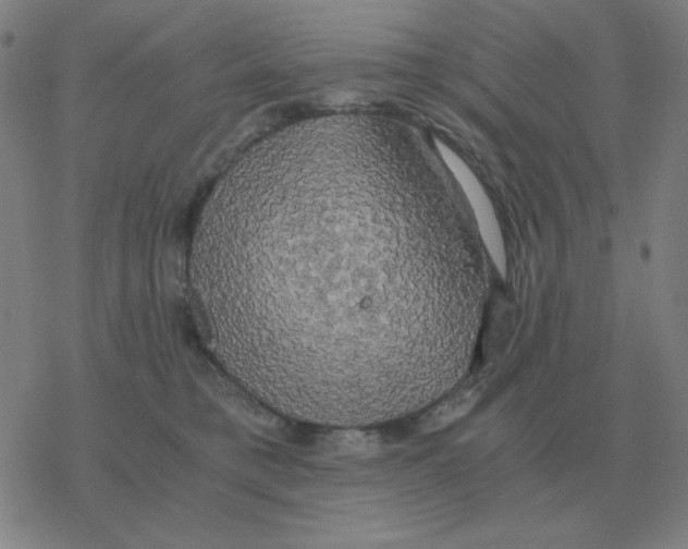 X0000076330421200610272034