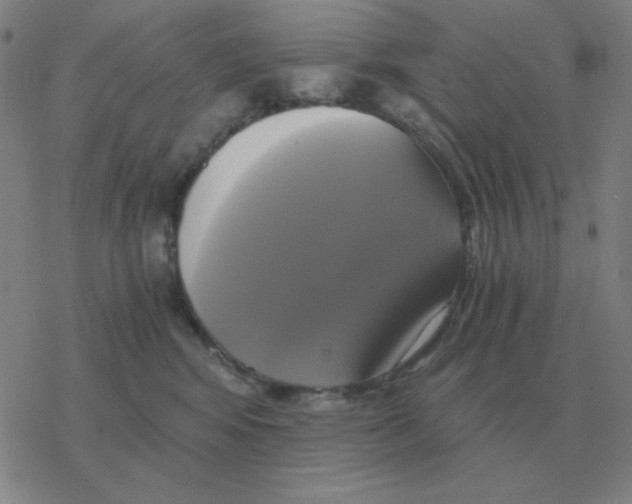 X0000076330424200610272034