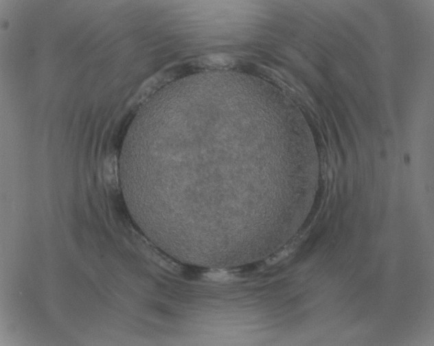 X0000076330425200610272034