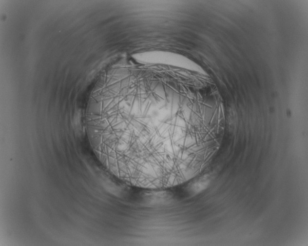 X0000076330428200610272034