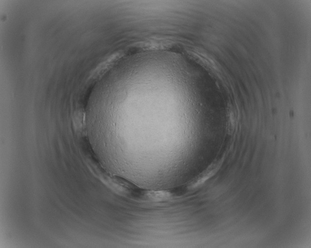 X0000076330429200610272034