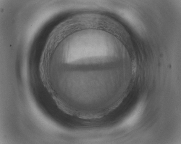 X0000076330431200610272034