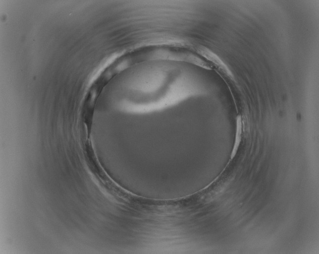 X0000076330436200610272033
