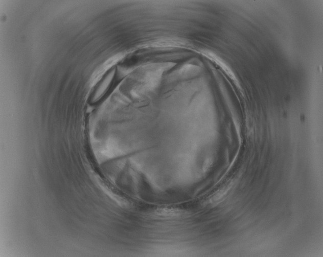 X0000076330437200610272033