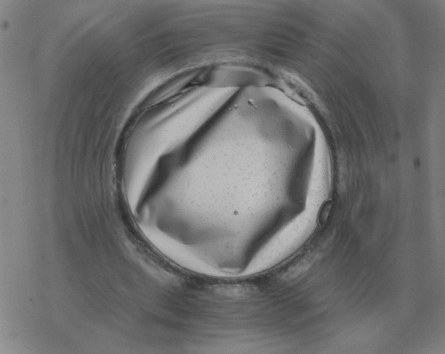 X0000076330439200610272033