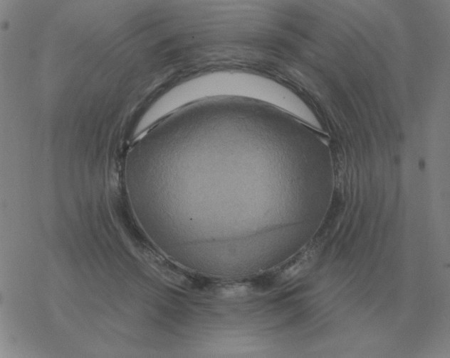 X0000076330456200610272034