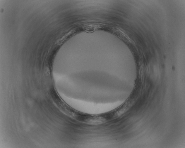X0000076330459200610272034