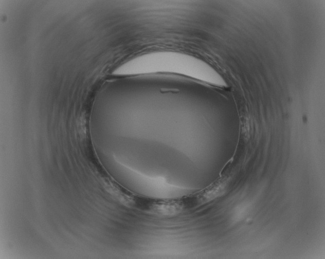 X0000076330466200610272034