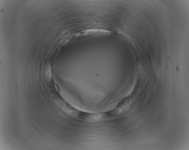 X0000076330479200610272034