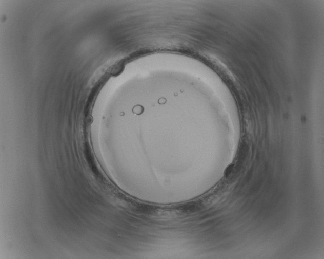 X0000076330487200610272033