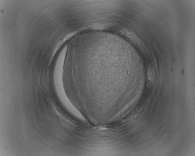 X0000076330492200610272033
