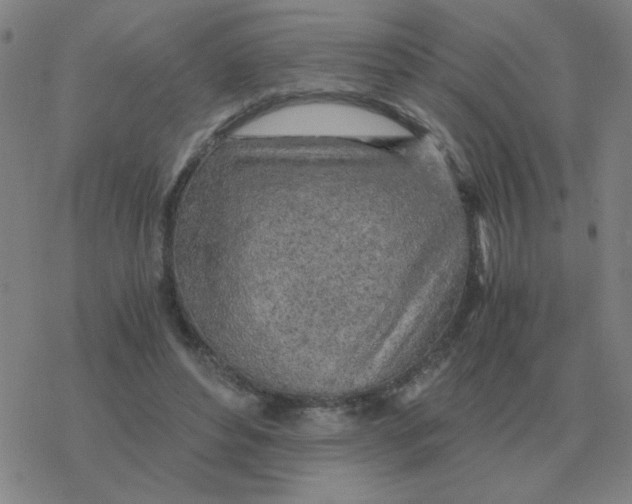 X0000076330496200610272033